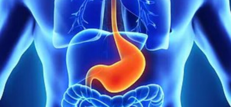 Why a Dysfunctional Gastrointestinal System May be the Cause of Your Symptoms