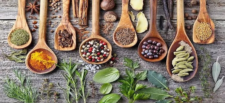 The Integration of Ayurveda and Functional Medicine