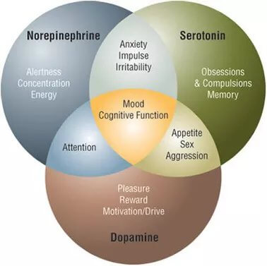 neurotransmitters in the brain and depression