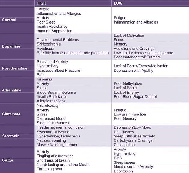 norepinephrine neurotransmitter function