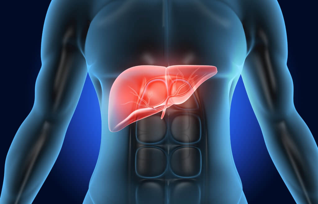 Liver | PatriotDirect Family Medicine | Natick, MA