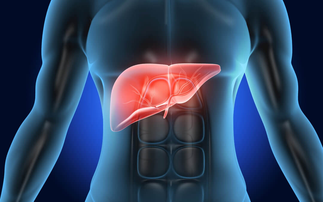 The Functions of the Liver and Signs You Need to Detox